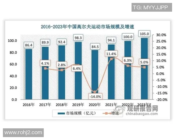 上海排球队战术解析与比赛策略探讨助力球队提升竞技水平