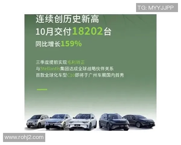 南京网球队实力飙升创历史新高引发关注与期待